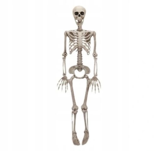  SKELETOR DECORATION SKELETON HALLOWEEN 90 CM