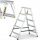  Drabste aluminum ladder up to 150 kg