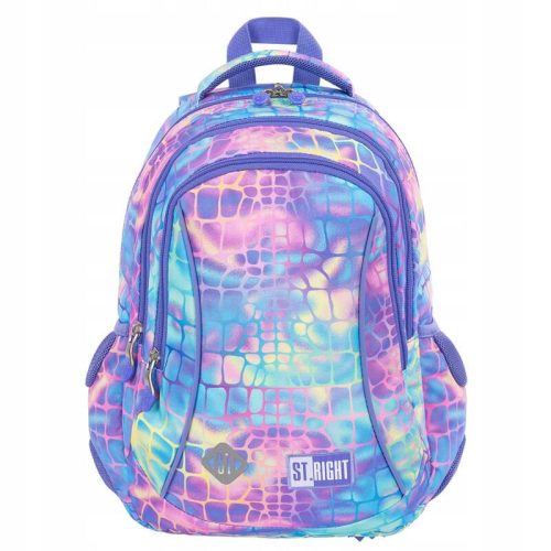 Lightweight Raccoon-Themed School Backpack with Organizational Compartments