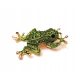  PIN, BROOCH, BROOCH, NECKLACE, PENDANT FROG GOLD