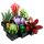  BLOCK Icon 10309 Succulents Bonsai blocks bouquet