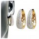  Earrings Gold Shiny Horseshoes Elegant Zircons Surgical Steel