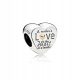  Pandora Charms - Heart of the Family 796265