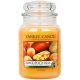  Traditional paraffin candle Mango Yankee Candle 1 pc.