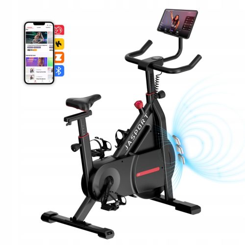  JASPORT C3 Electromagnetic Spinning Exercise Bike