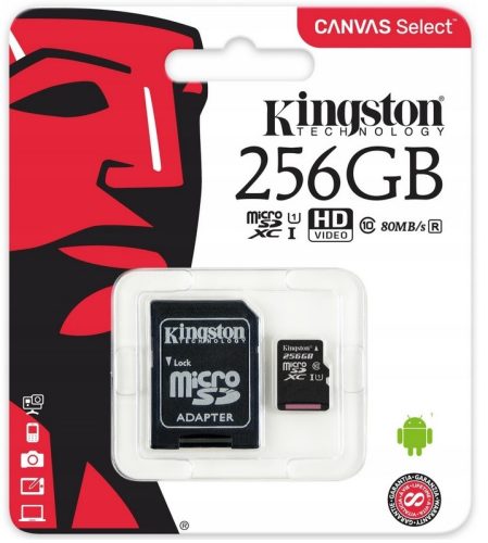 KINGSTON MEMORY CARD 256 GB MICRO SD CLASS 10 WITH SD ADAPTER