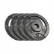  Cast iron weight set 4x2.5kg 10kg hole 31mm plate with handles REBEL