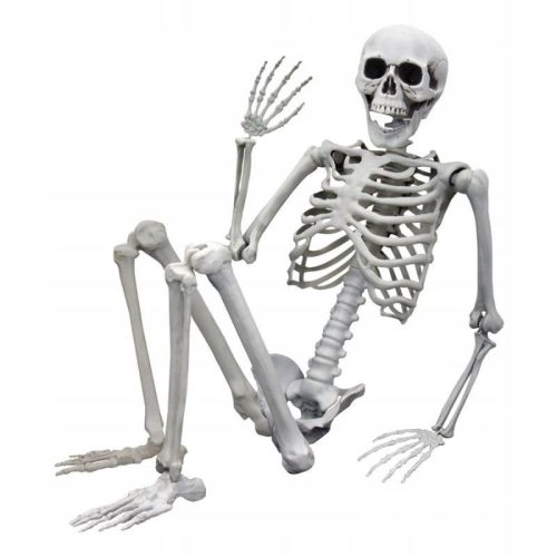  HUMAN SKELETON MADE OF HALLOWEEN BONES 170CM