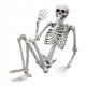  HUMAN SKELETON MADE OF HALLOWEEN BONES 170CM