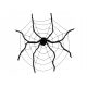  spider web with Halloween spider