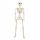  HUMAN SKELETON SKELETOR SKULL HALLOWEEN DECORATION 93CM