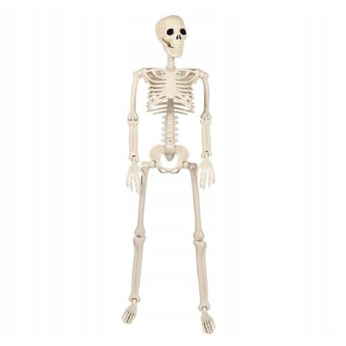  HUMAN SKELETON SKELETOR SKULL HALLOWEEN DECORATION 93CM