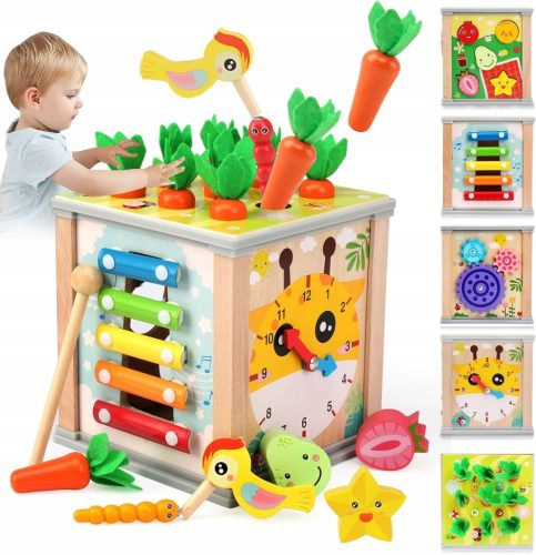  Multifunctional Wooden Montessori Toy 6in1