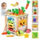  Multifunctional Wooden Montessori Toy 6in1