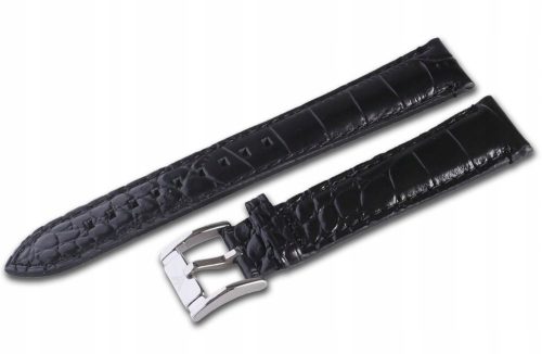  WATCH STRAP E. ARMANI AR4629 AR4628 22 MM