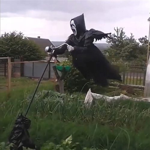  scarecrow garden decoration for Halloween