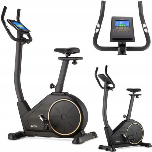  Gymtek G-42295 Magnetic Upright Exercise Bike