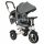  TRIKE FIX V3 TRICYCLE STROLLER WITH ROTATING CANOPY GREY XL