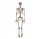 SKELETOR DECORATION SKELETON HALLOWEEN 90 CM