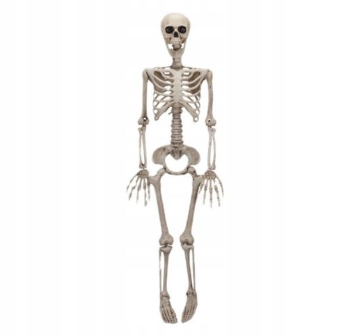 SKELETOR DECORATION SKELETON HALLOWEEN 90 CM