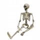  Halloween decoration human skeleton