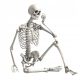  Human Skeleton Model, 90 cm, Skeleton Decoration