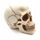  Skull standing Giftdeco 15 cm