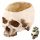  SKULL HEAD ORNAMENT FLOWER POT CONTAINER FOR HALLOWEEN