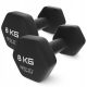  EXERCISE WEIGHTS CAST IRON ANTI-SLIP DUMBBELLS SET 2x8 KG