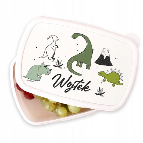  Personalized Lunch Box for Children with Favorite Graphics