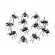  PARTY ANTS FOR SNACKS - CANAPETS 12 PCS - FUNNY GIFT