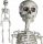  complete Halloween skeleton with movable joints, 76CM