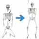  170cm tall human skeleton, skeleton, skull, Halloween decoration