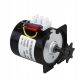  68KTYZ AC 220V 28W Synchronous Motor Low Speed Permanent Magnet CW/CC