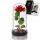  ETERNAL ROSE IN GLASS LED LIGHTING GIFT FOR MOTHER'S DAY, WOMEN'S DAY FOR MOTHER