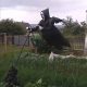  Halloween garden decoration, screaming scarecrow