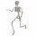  Skeleton Body Skeleton Halloween Props H 160