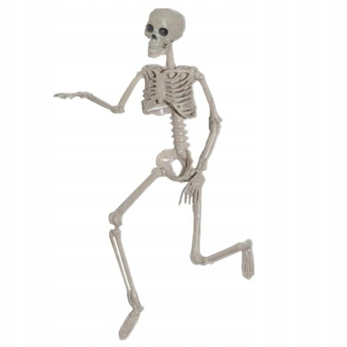  Skeleton Body Skeleton Halloween Props H 160