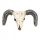  3x Ox Skull Key Storage Hooks Coat Hooks