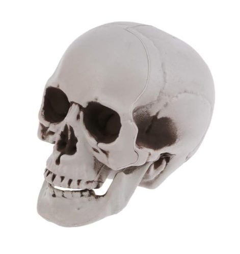  ARTIFICIAL SKULL GRAY SHADED SKULL 20CM