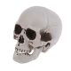  ARTIFICIAL SKULL GRAY SHADED SKULL 20CM