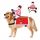  Dog Riding Costume for Halloween and Christmas