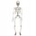  HANGING DECORATION SKELETON 91 CM HALLOWEEN skeleton