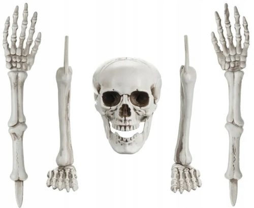  Decoration Skeleton BONES Skeleton Skull Arms Legs Halloween 5 Pieces