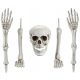  Decoration Skeleton BONES Skeleton Skull Arms Legs Halloween 5 Pieces