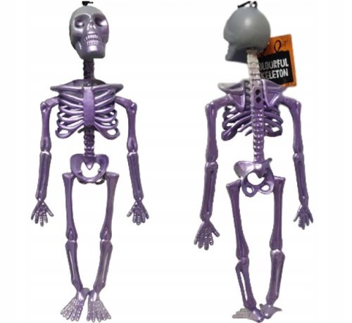  HUMAN SKELETON SKELETOR SKULL HALLOWEEN DECORATION 33 cm