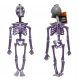  HUMAN SKELETON SKELETOR SKULL HALLOWEEN DECORATION 33 cm