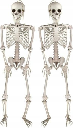  2 x Hanging Skeletons 35cm Skeleton Set Ornament Halloween Decoration