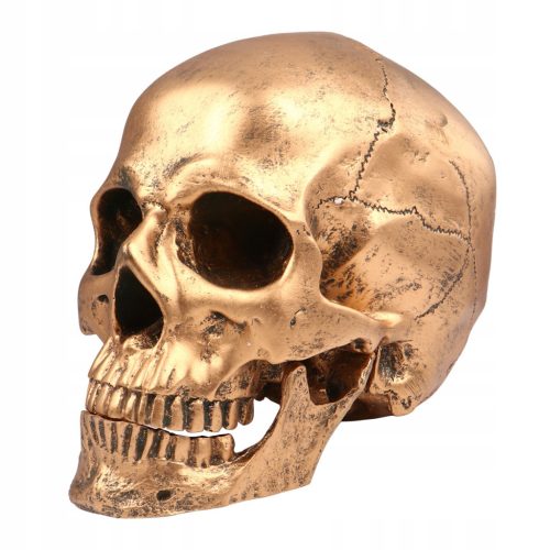  1PC Skull Action Figure Halloween Skull Prop