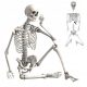  SKELETON hanging skeleton scary HALLOWEEN decoration 170CM